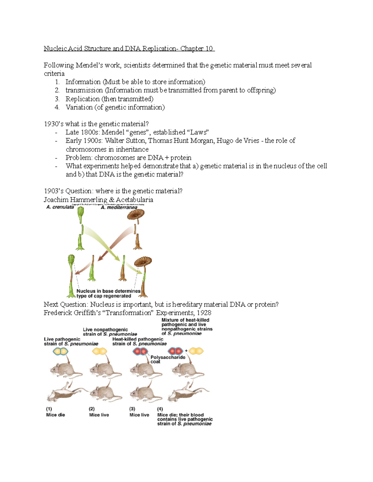 BIO 101: Chapter 10 - Nucleic Acid Structure & DNA Replication Notes ...