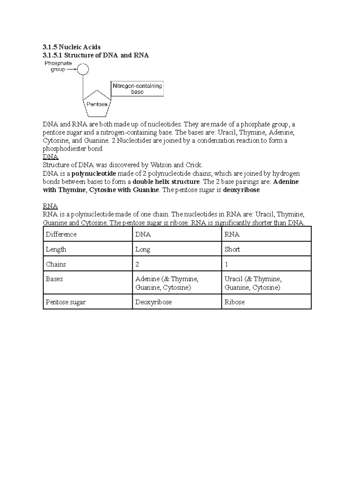 Biology AQA A-Level Notes: Structure of DNA and RNA - Studocu