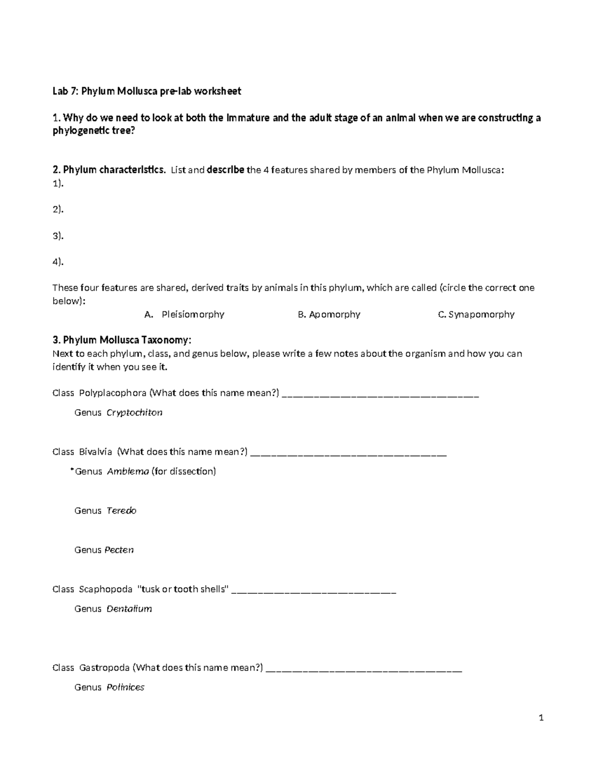 Lab 7: Phylum Mollusca Pre-Lab Worksheet Fall 2025 - Studocu