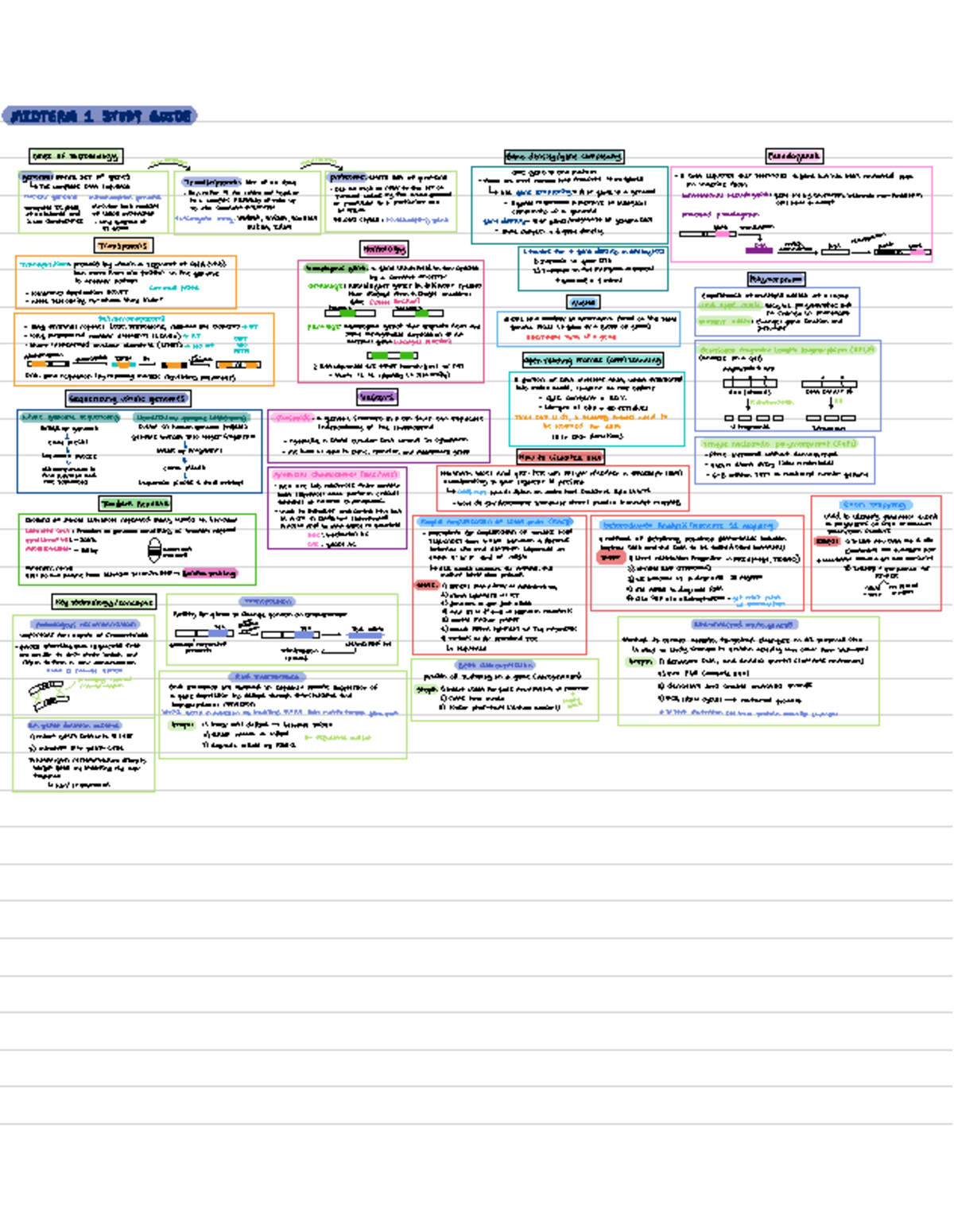 Molecular Genetics M1 Study Guide: Key Concepts and Terminology - Studocu