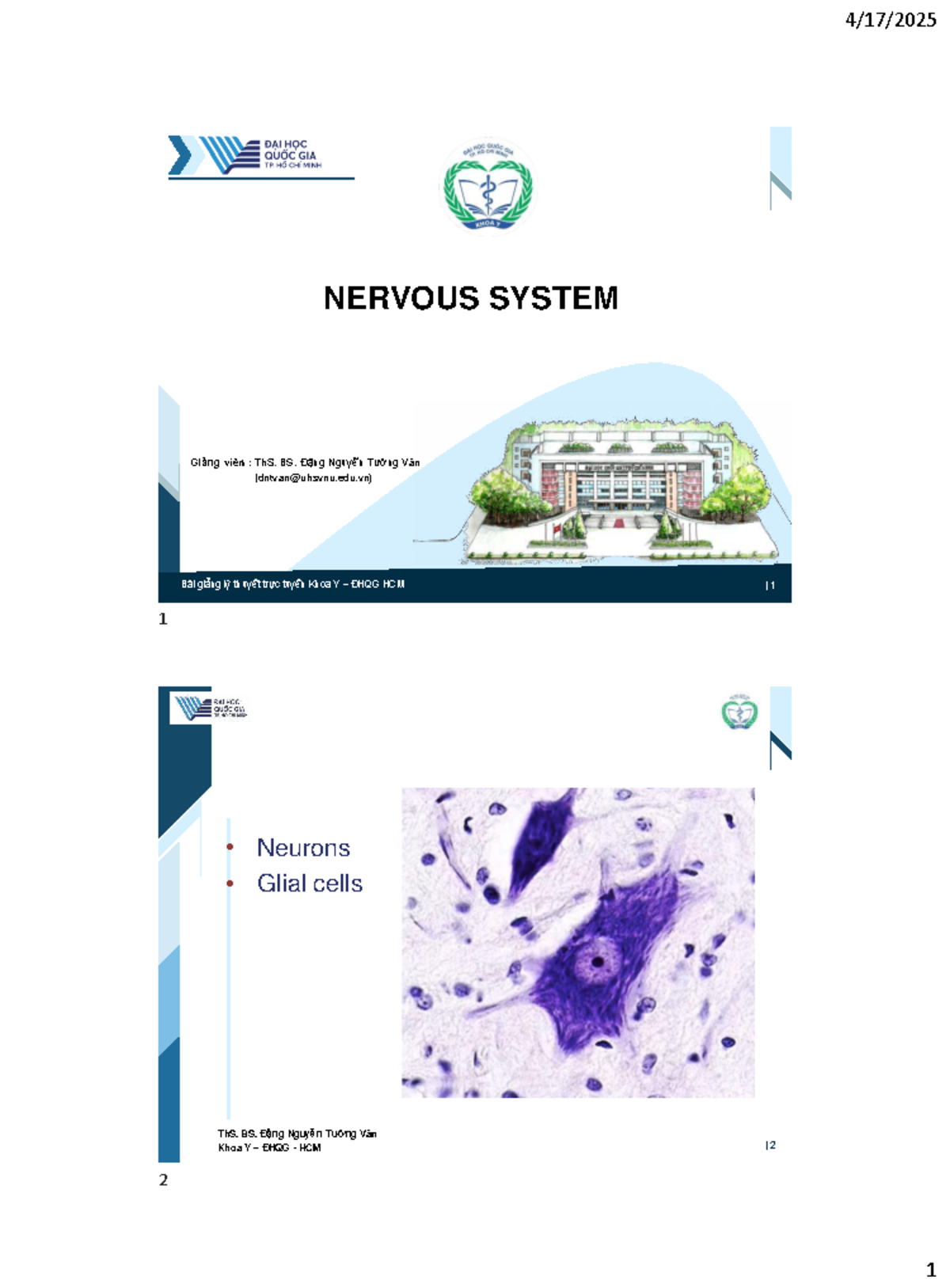 Nervous System Overview - UHS Lecture Notes by ThS. BS. Đặng Nguyễn ...