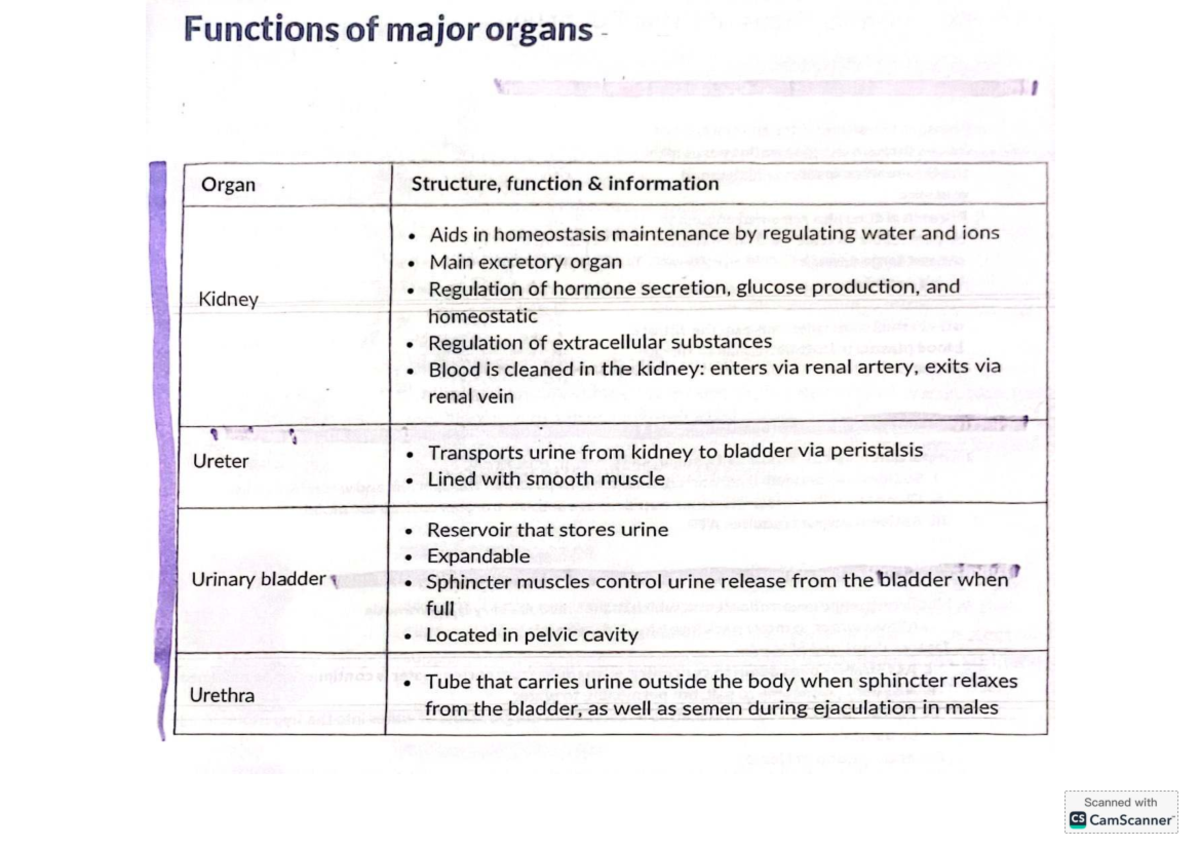 Anatomy Study Notes - Course Code Information Required - Functions of ...