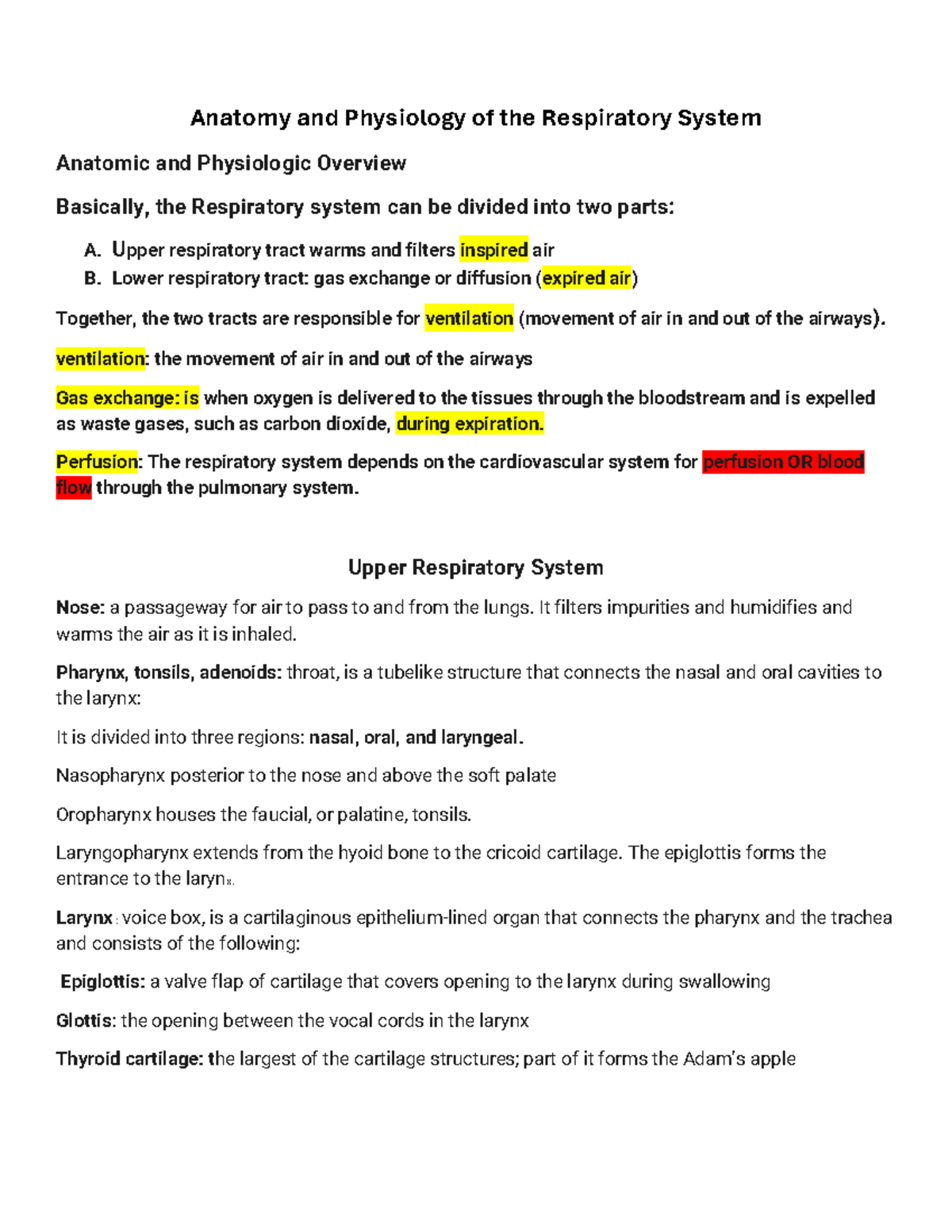 Anatomy & Physiology of the Respiratory System: An Overview (BIO 101 ...