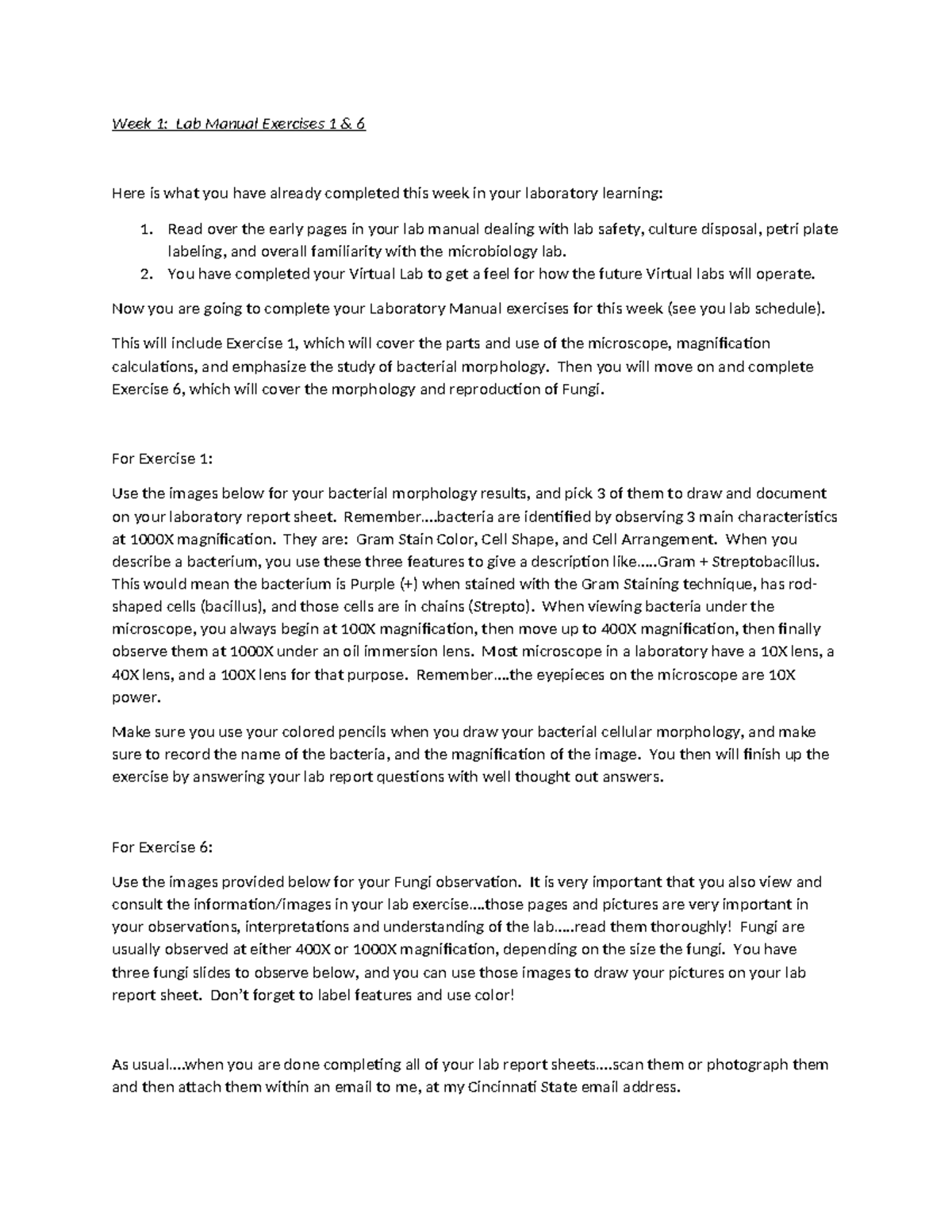 Week 1: Lab Manual Exercises 1 & 6 - Microbiology Observations - Studocu