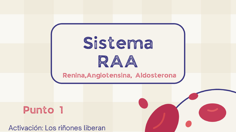 Sistema RAA: Activación y Efectos de Renina, Angiotensina y Aldosterona ...
