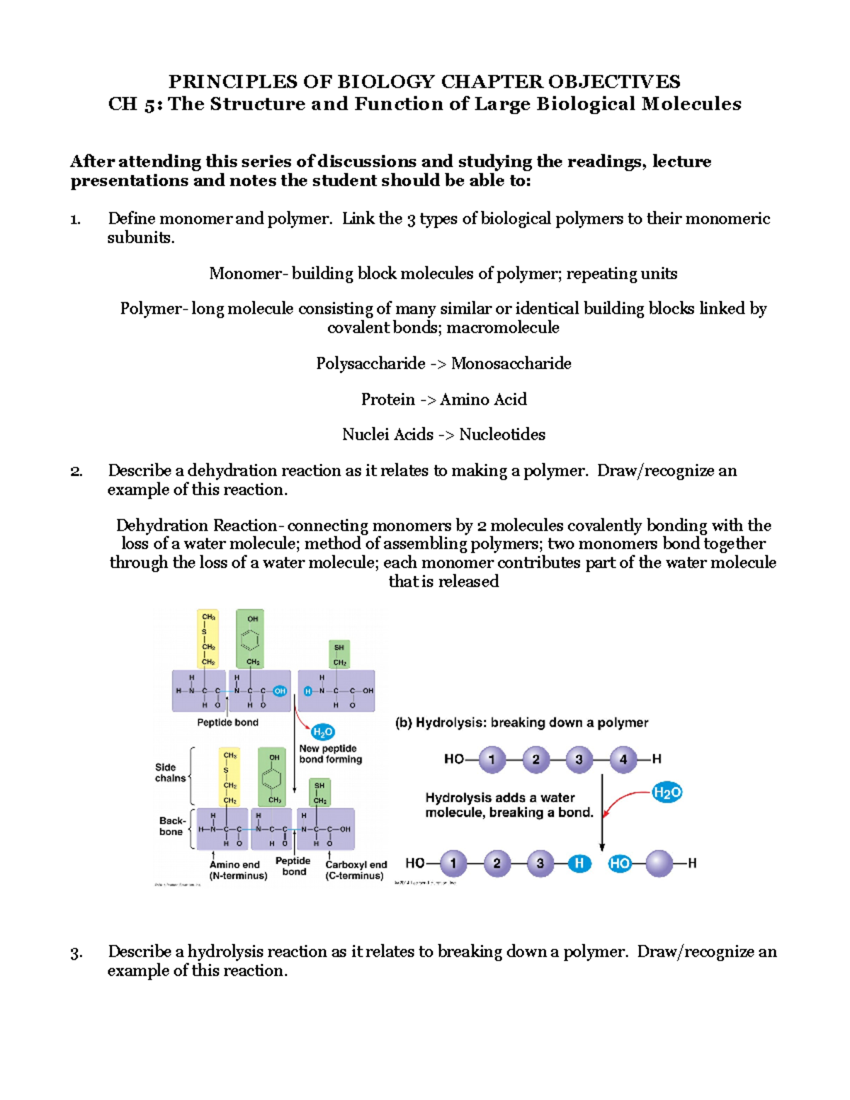 CH 05 Objectives: Structure & Function of Large Biological Molecules ...