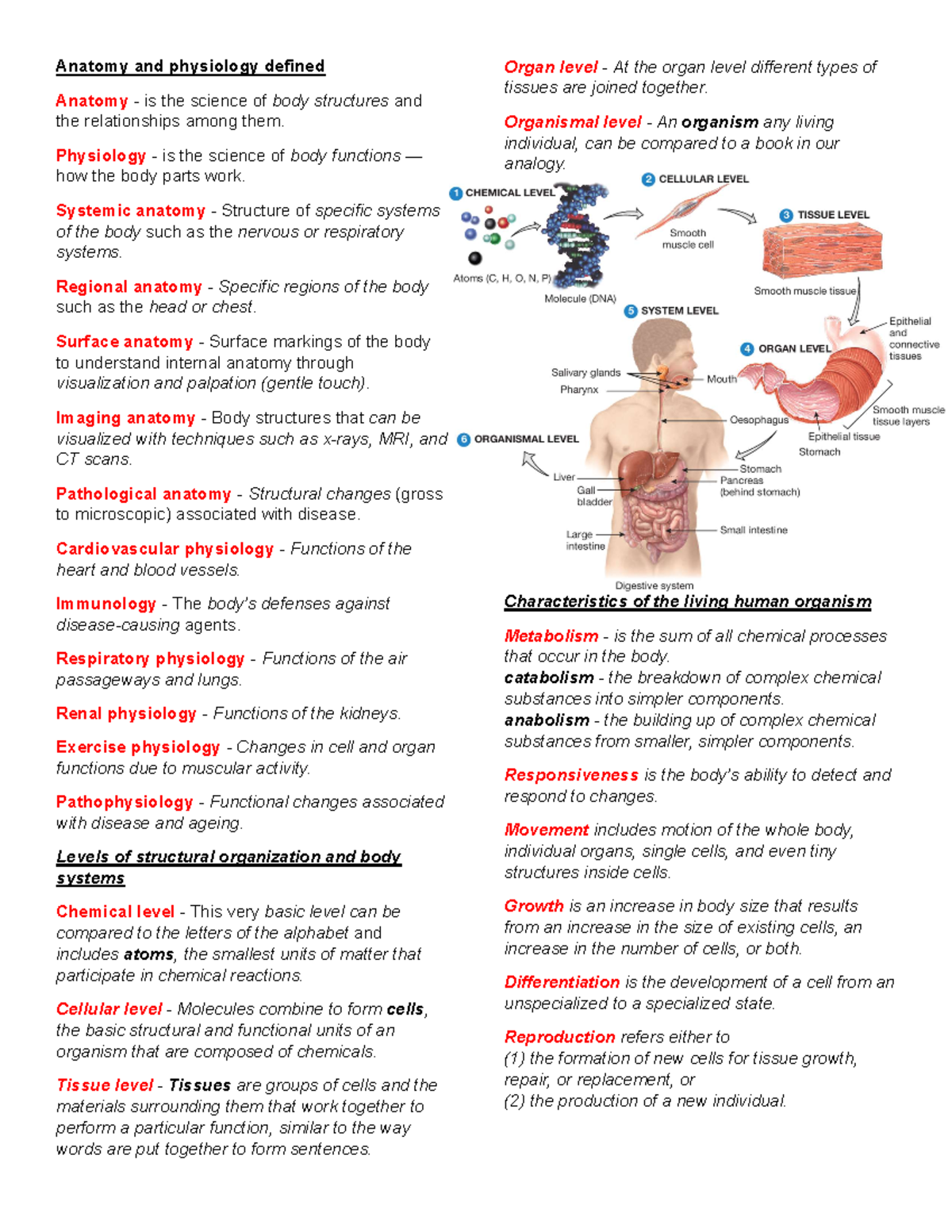 Anatomy & Physiology Chapter 1, 4, 5-7 Overview and Insights - Studocu