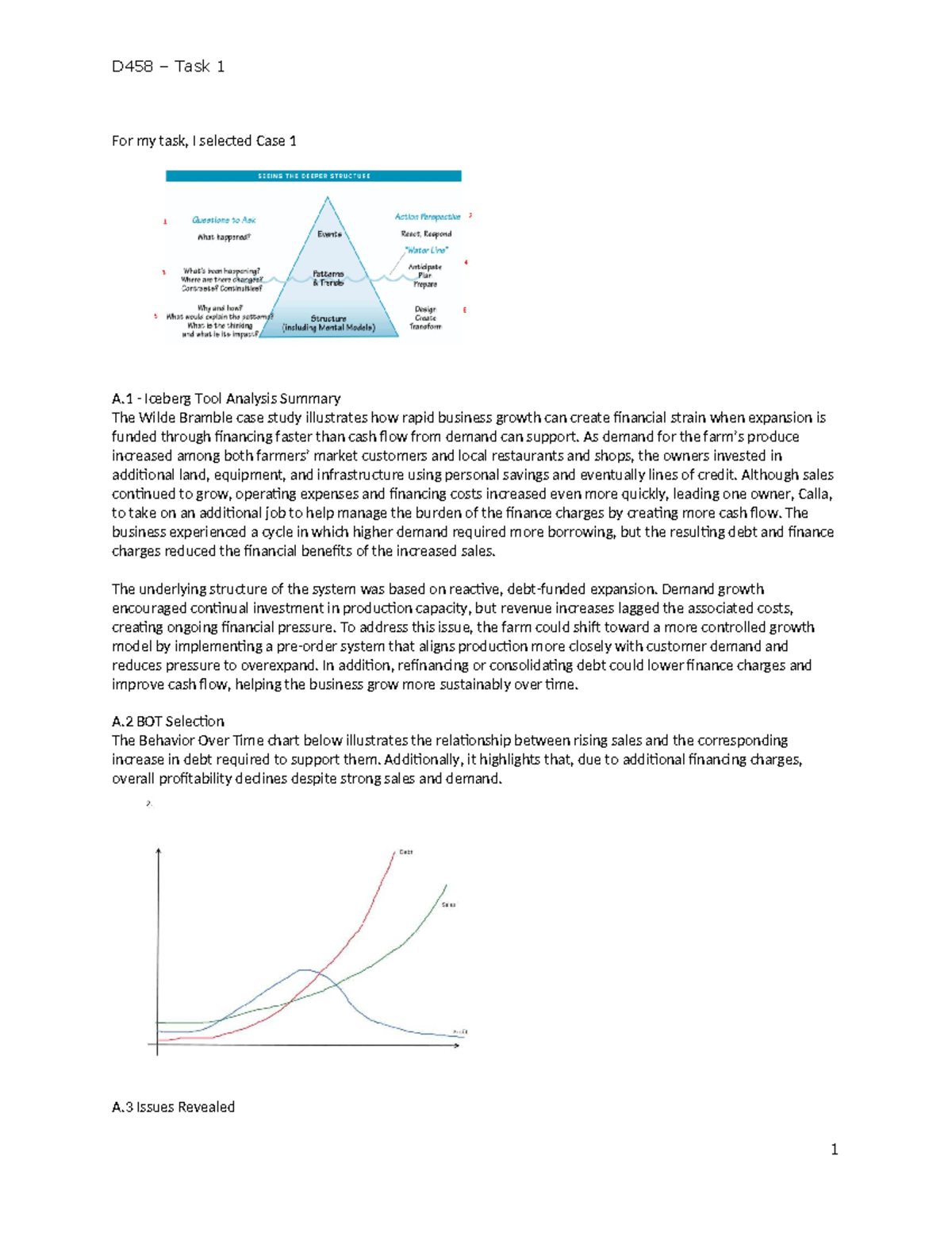 D458 Task 1 - Case Study Analysis of Wilde Bramble's Growth Challenges ...
