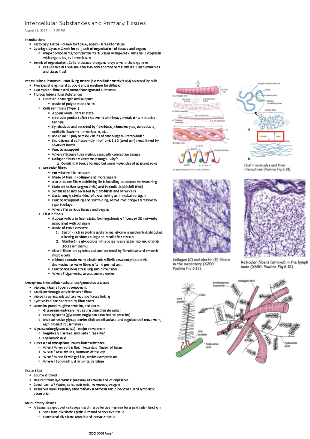 Intercellular Substances and Primary Tissues - Introduction ...
