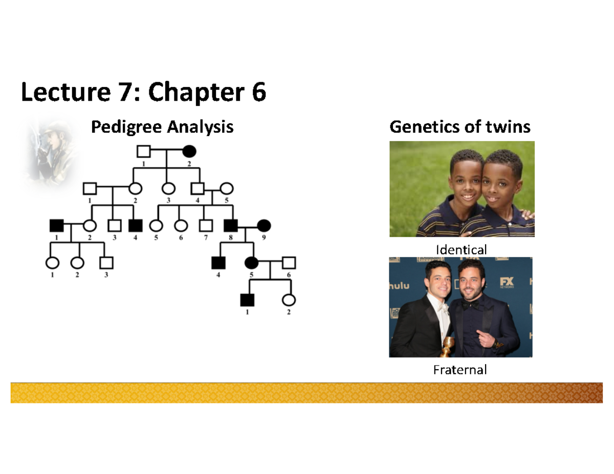 ANSC 3213 2024 Final Exam Notes: Genetics & Pedigree Analysis Insights ...