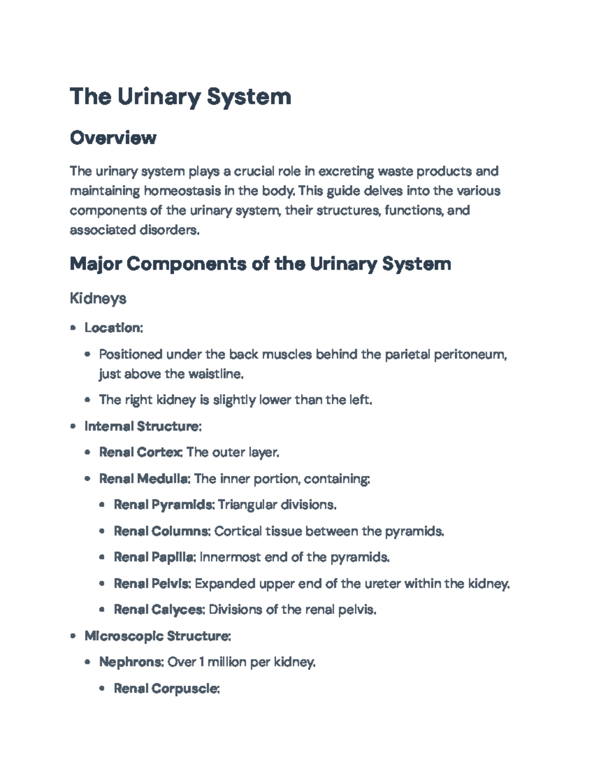 Urinary System Overview: Anatomy, Functions & Disorders (BIO 101) - Studocu