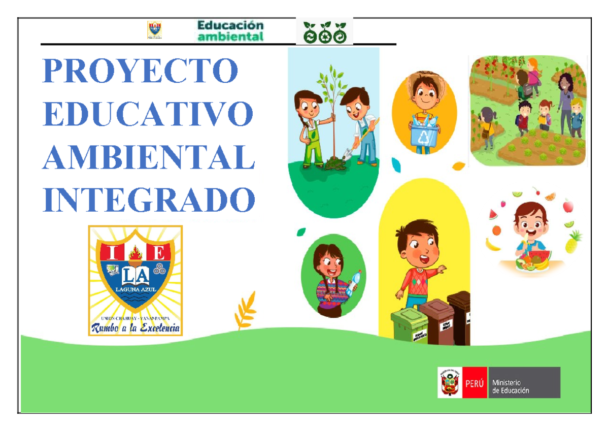 Proyecto Educativo Ambiental Integrado I - Plan 2025 para IE Sangarará ...