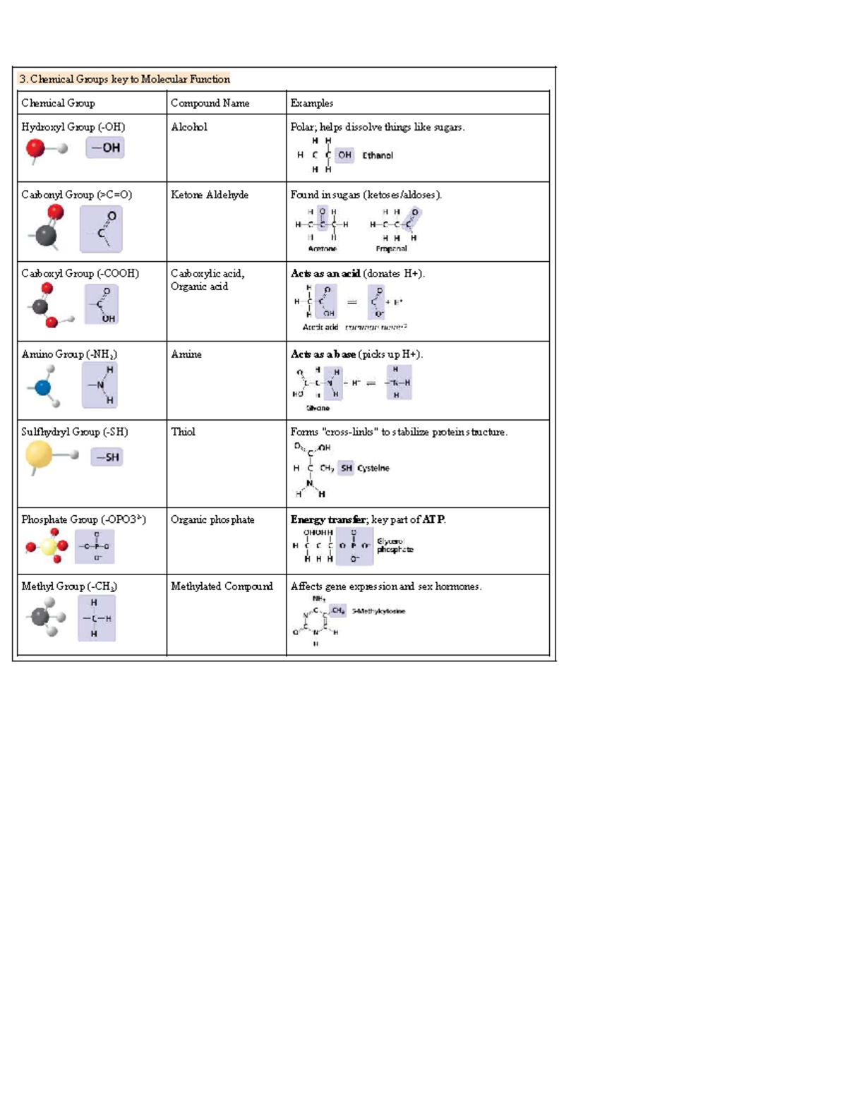 U1 Molecules Cheat Sheet Part 3 - Chemical Groups key to Molecular ...