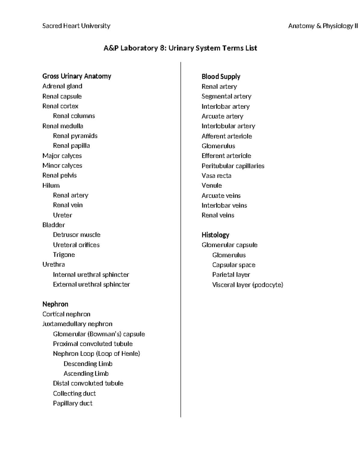 2. Lab 8 Terms List - Sacred Heart University Anatomy & Physiology II A ...