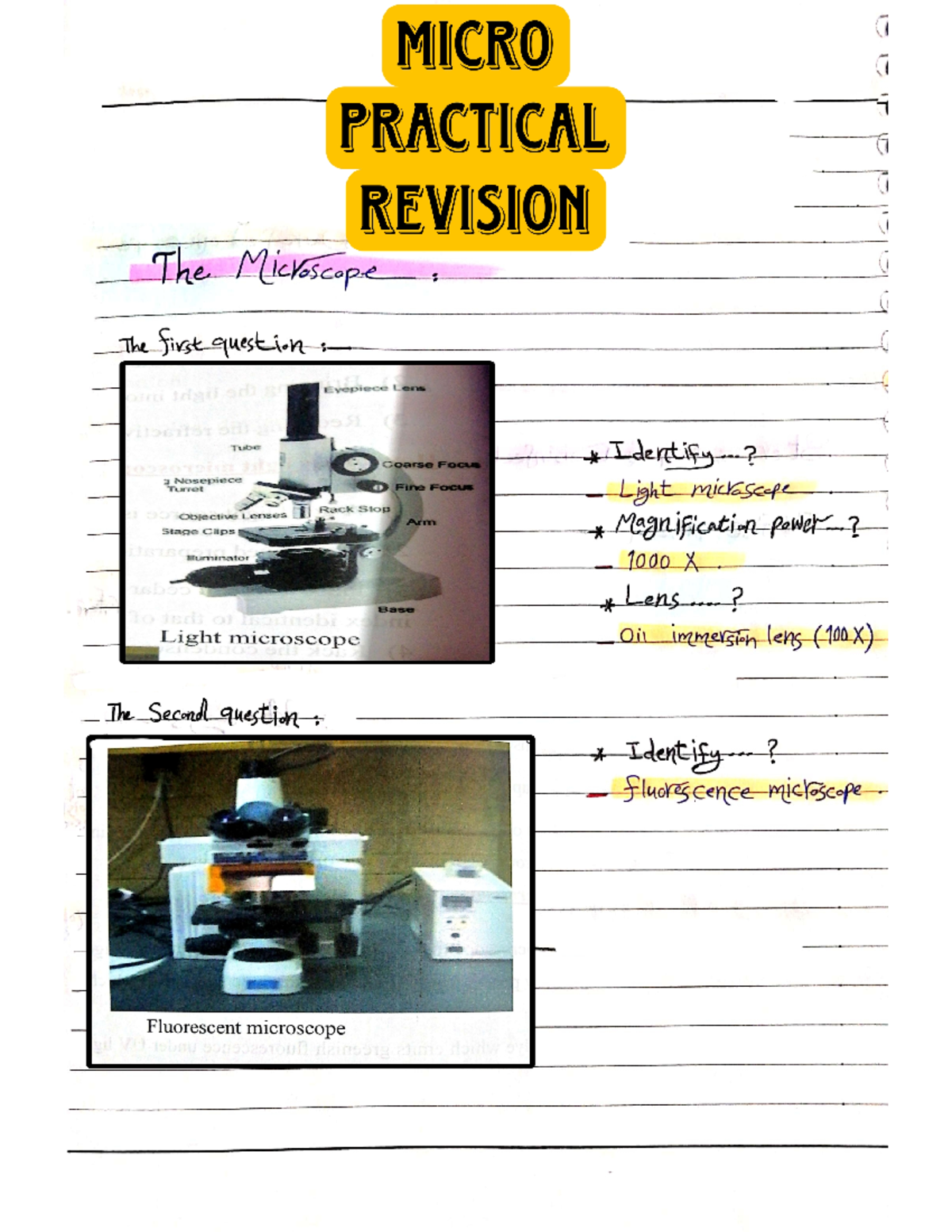 Micro Practical Revision - MICRO PRACTICAL REVISION The Microscope The ...