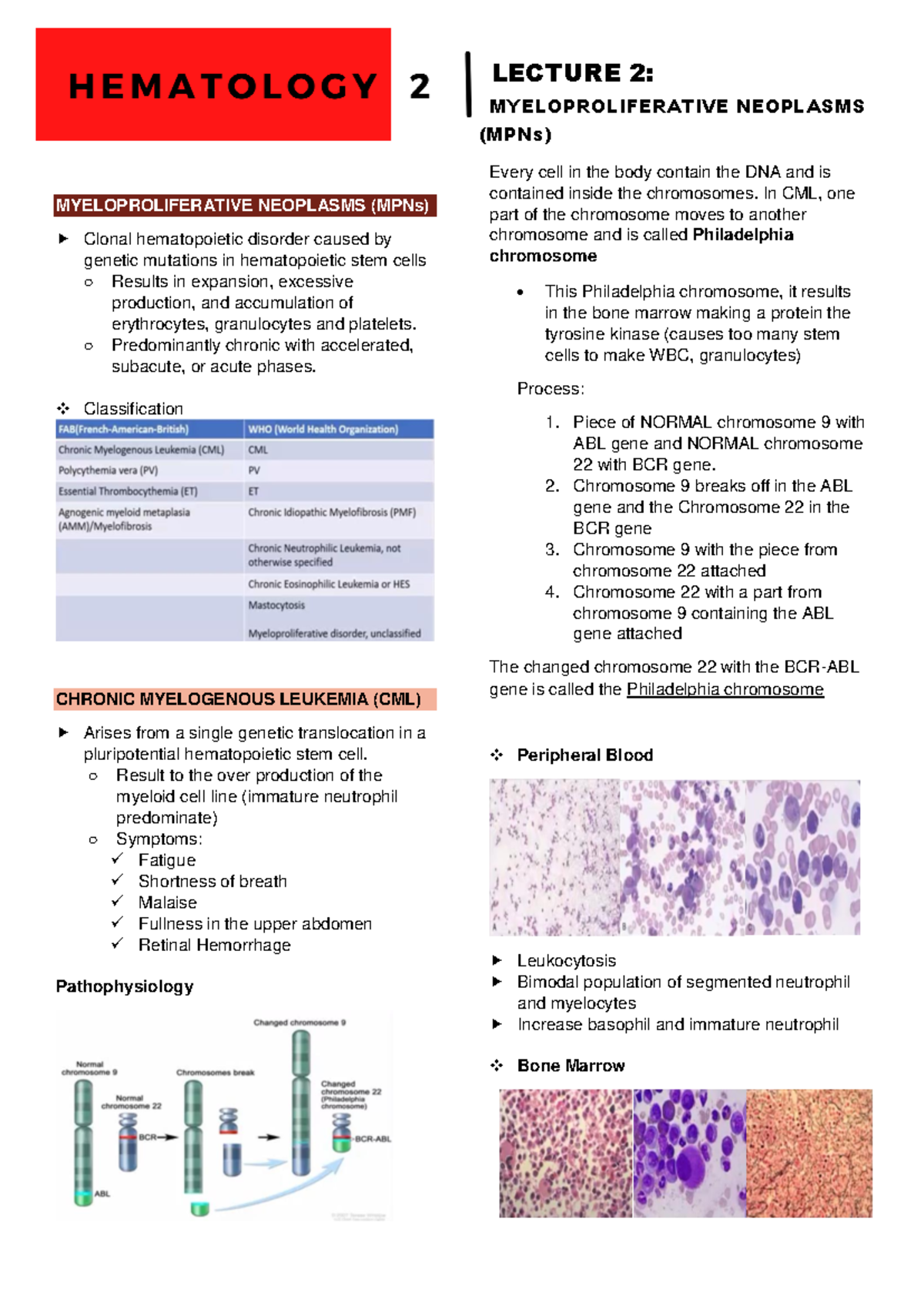 Lec 2 - Overview of Myeloproliferative Neoplasms (MPNs) and Types - Studocu