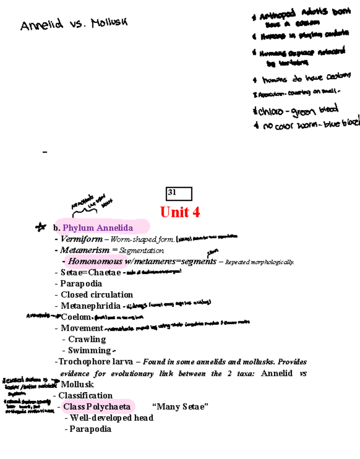 Unit 4: Phylum Annelida and Arthropoda Overview - Studocu