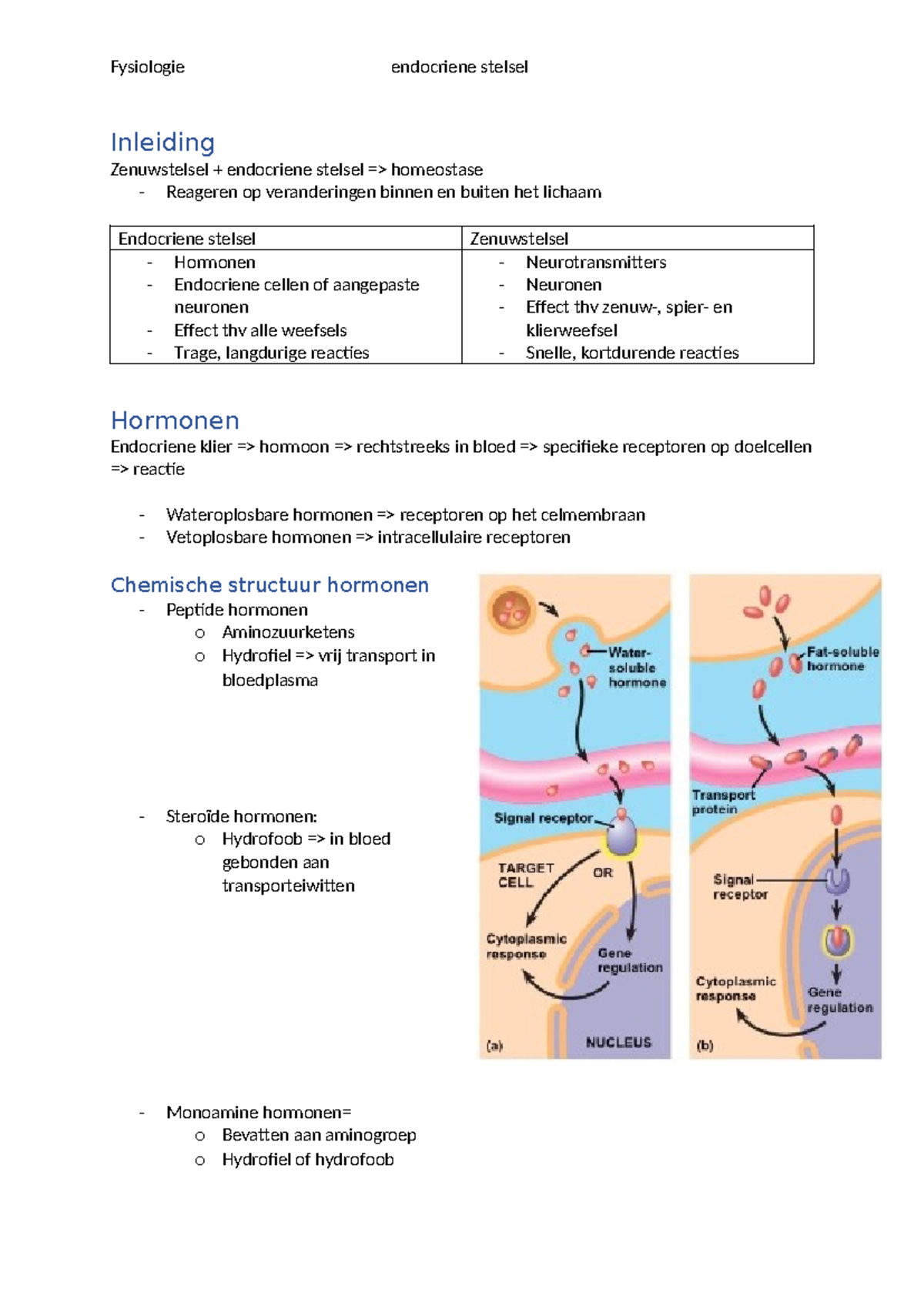 Endocrien stelsel - Summary Fysiologie - Inleiding Zenuwstelsel ...