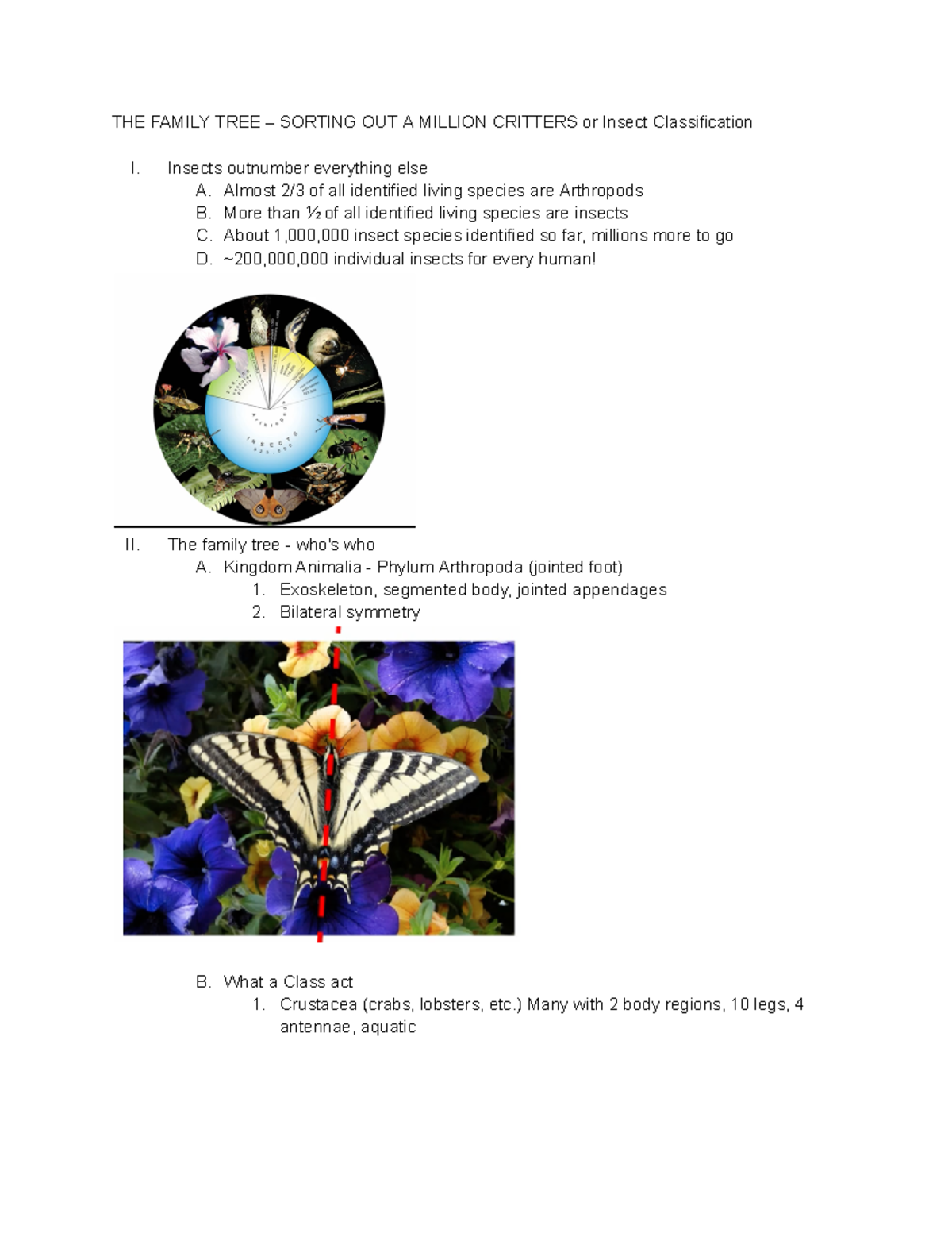 Insect Classification: Understanding the Family Tree of Critters - Studocu