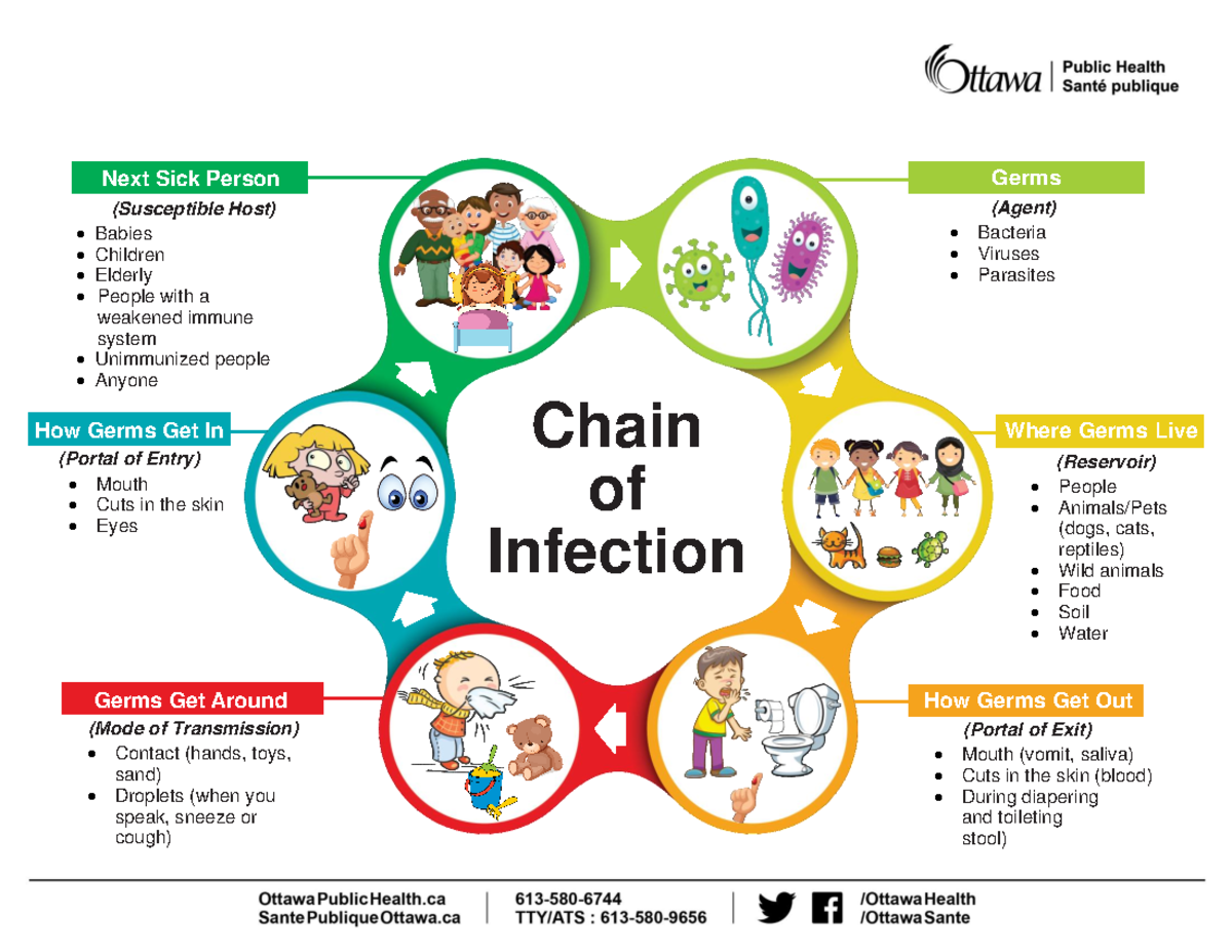 Chain of infection - Next Sick Person (Susceptible Host) Babies ...