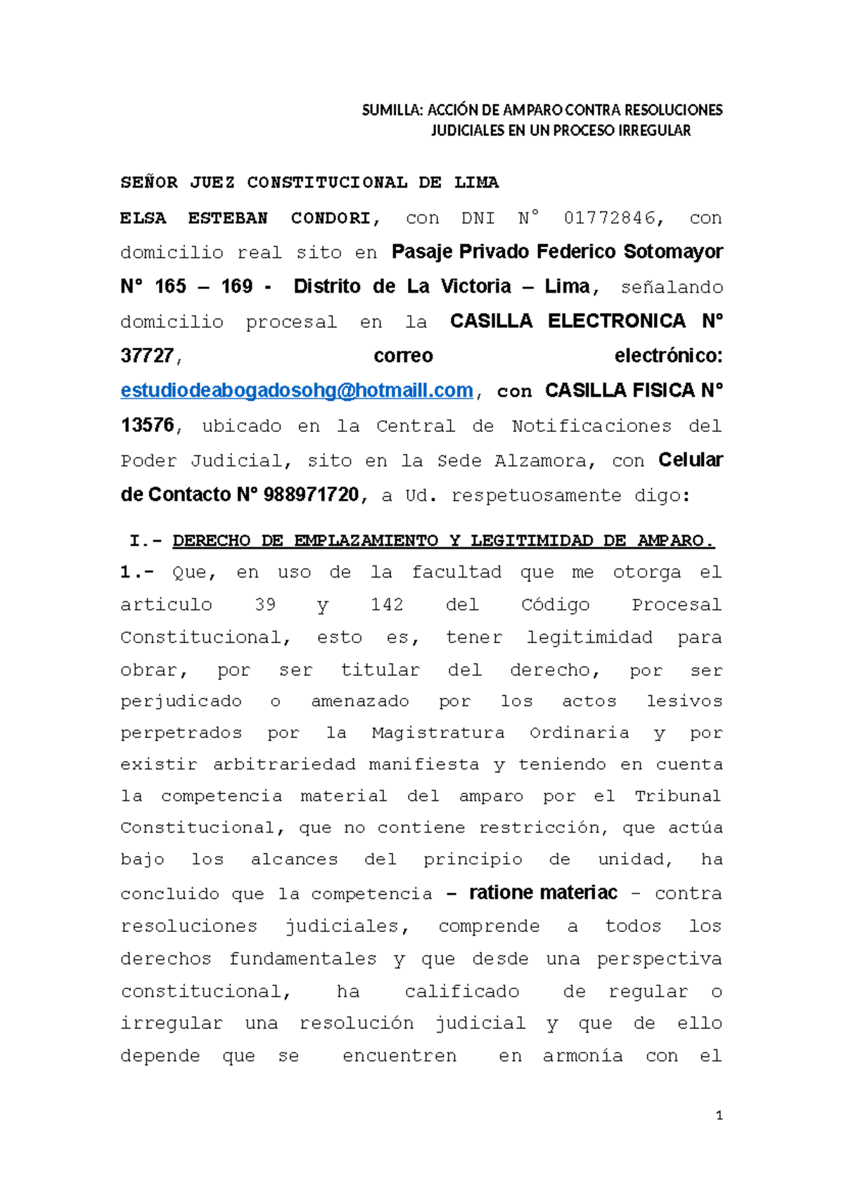 Acción de Amparo contra Resoluciones Judiciales en Proceso Irregular ...