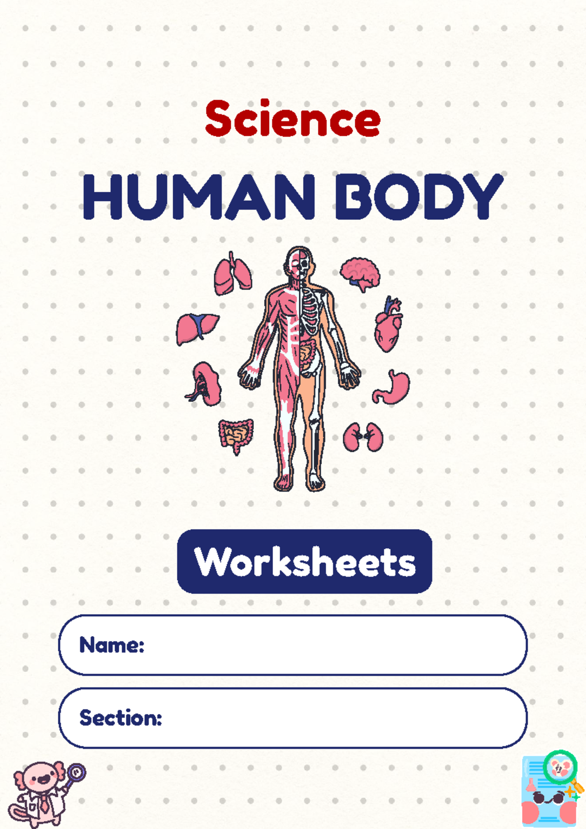 Human Body Worksheets: Integumentary & Muscular Systems - Studocu