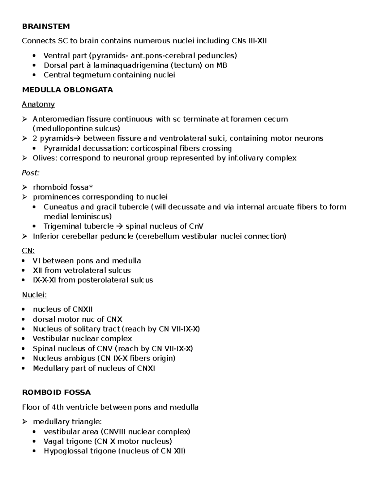 BRAINSTEM Anatomy Overview: Schematics of the Brainstem (Final Exam ...