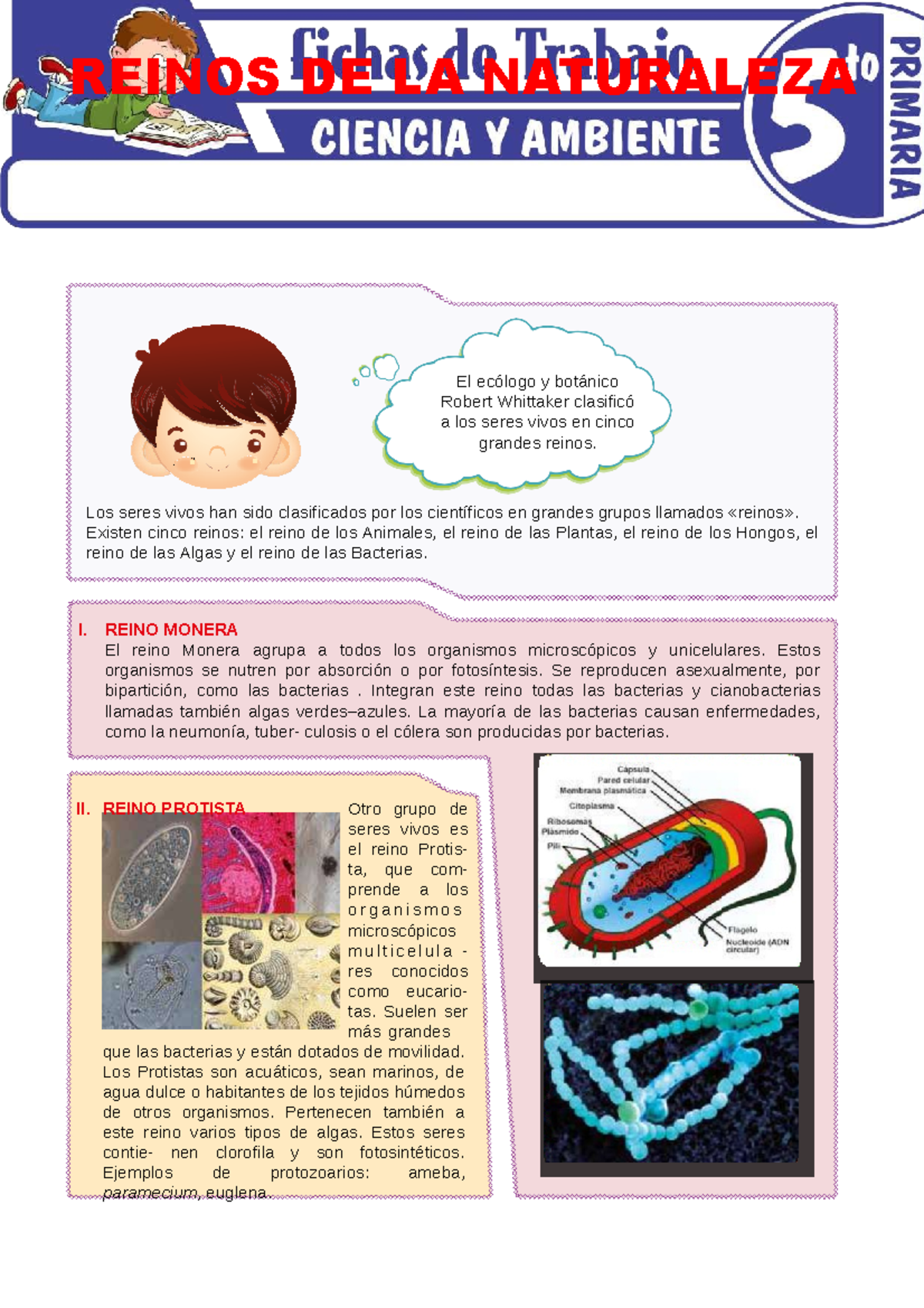 Clasificación de los Reinos de la Naturaleza - Quinto Grado Primaria -  Studocu