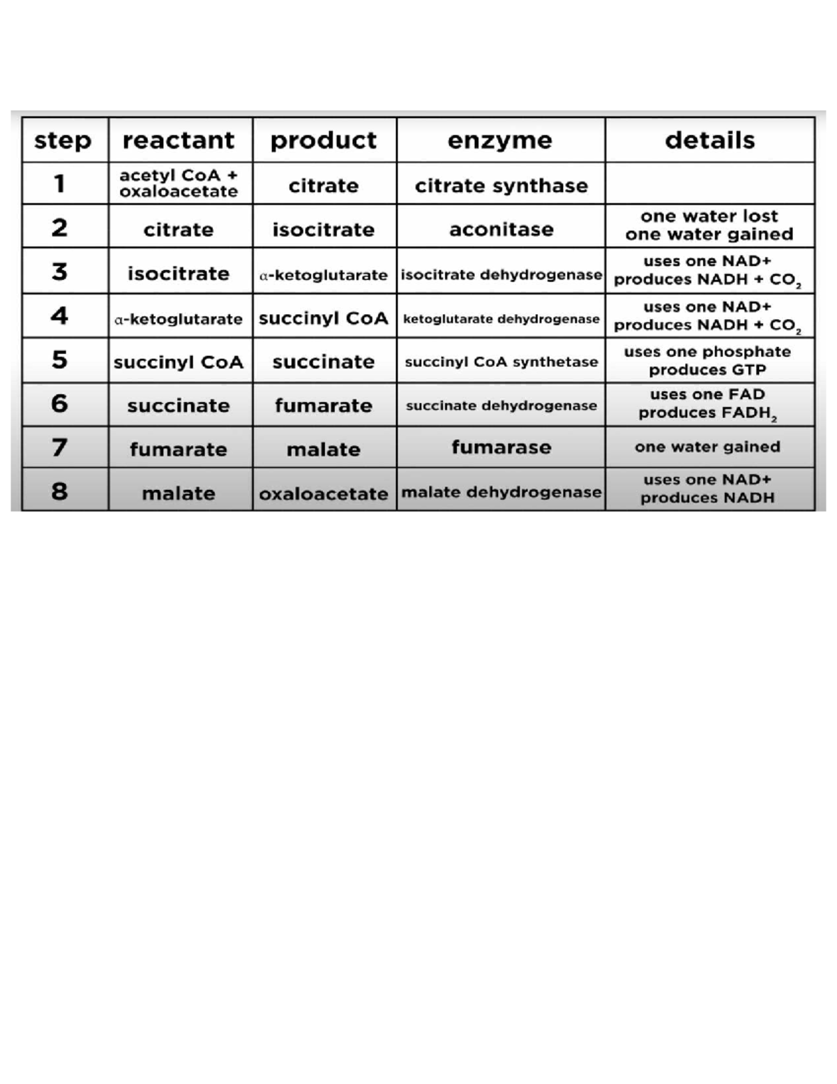 EE170: Final Exam Study Guide on Enzyme Reactions and Products - Studocu