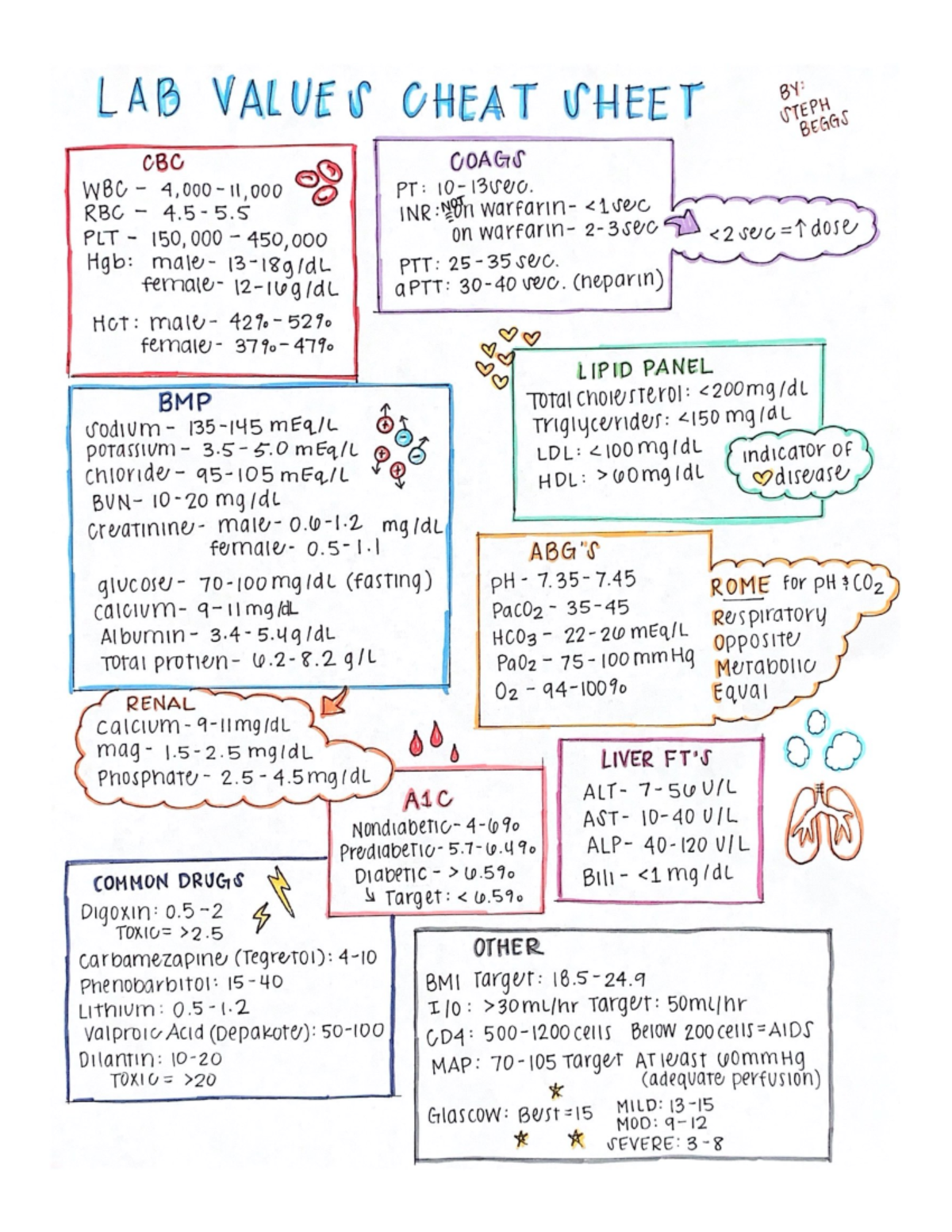 LAB VALUES CHEAT SHEET: CBC, COAGS, BMP, LIPID PANEL, & DRUGS - Studocu