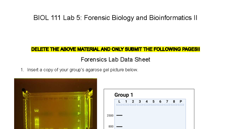 BIOL Lab 5: Forensic Biology & Bioinformatics II Data Sheet - Studocu