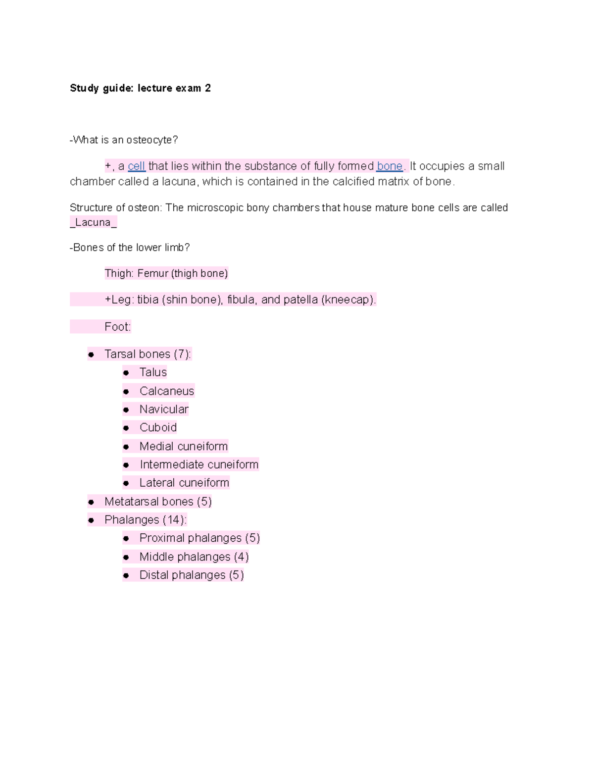 Anatomy & Physiology Study Guide: Exam 2 Key Concepts - Studocu