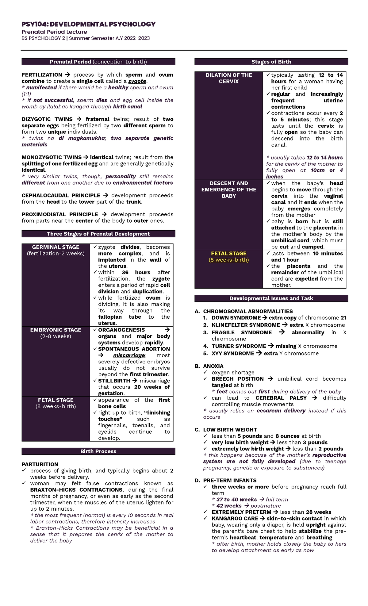 Prenatal Period Lecture Notes: Key Stages & Development Issues - Studocu