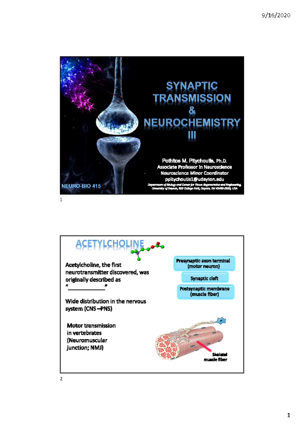 Lecture 8: Neurochemistry III - Neurotransmitter Systems & Mechanisms ...