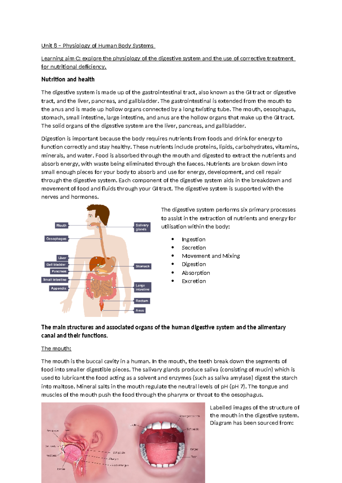 Unit 8 - Physiology and Function of the Digestive System - Studocu