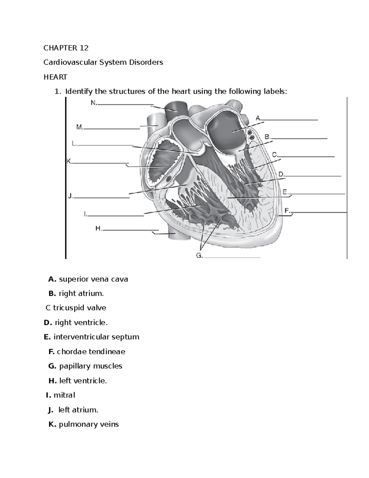 Gould's Patho CH 12 Study Guide: Cardiovascular Disorders & Management ...