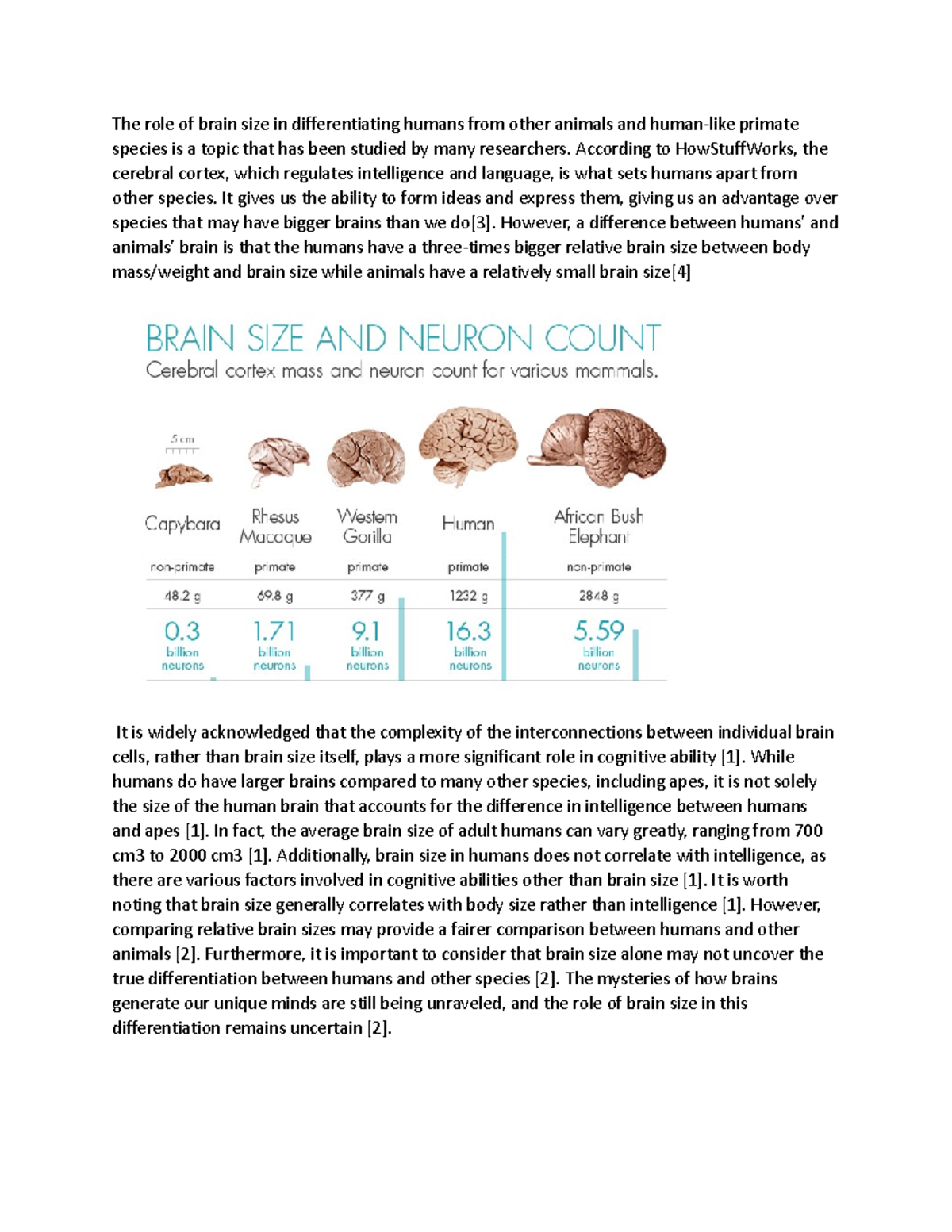 The Role of Brain Size in Human-Animal Differentiation - Studocu