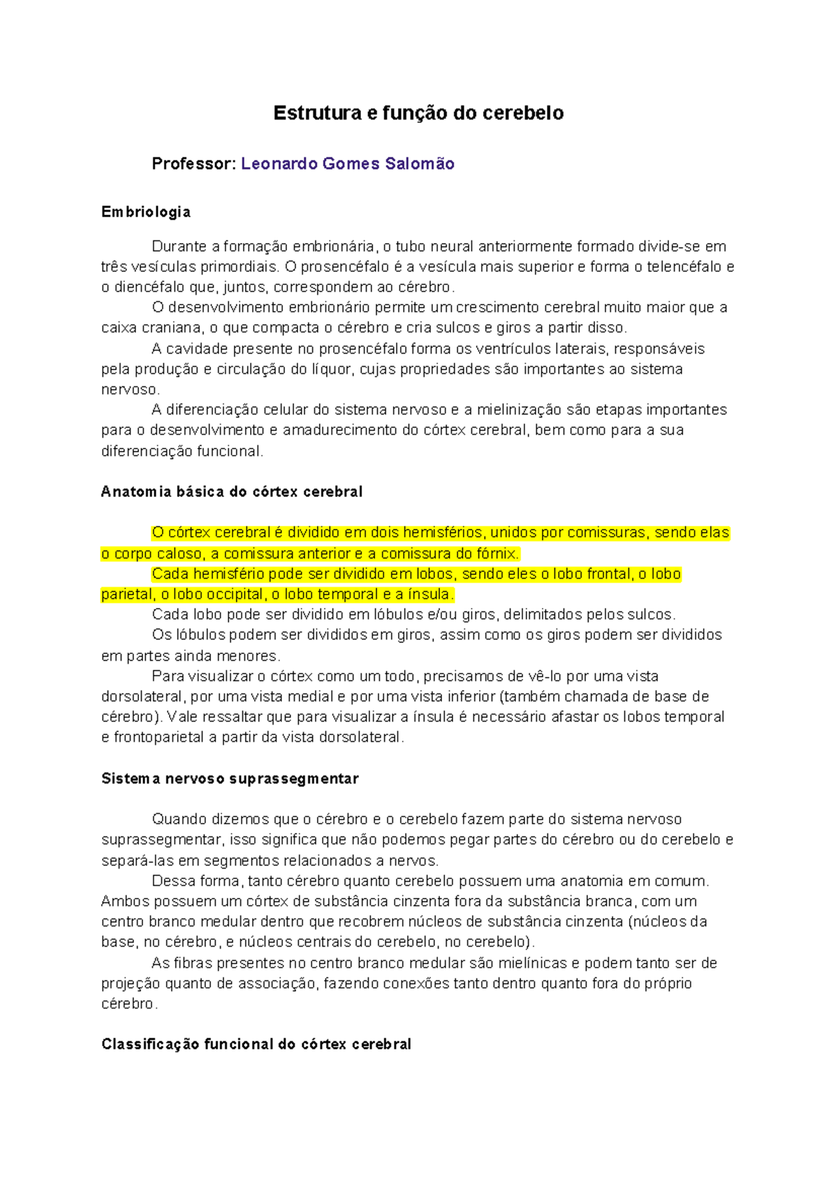 Introdução a Anatomia do Córtex Cerebral - Resumo - Estrutura e função ...