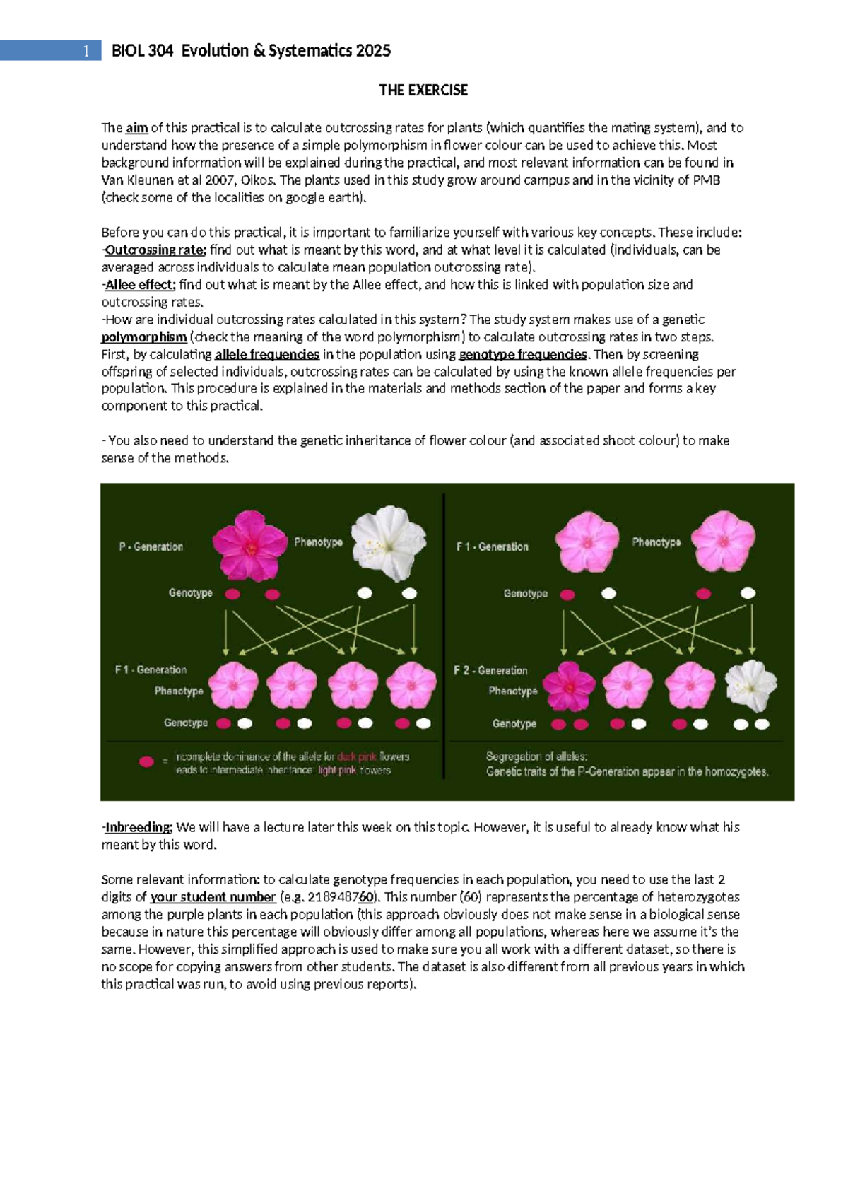 BIOL 304 Practical 2: Outcrossing Rates & Flower Color Polymorphism ...