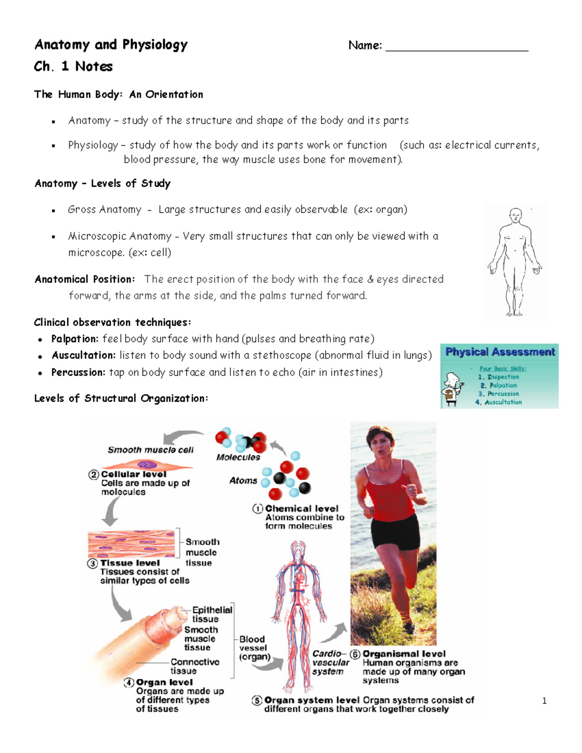 A & P Ch. 1 Reading - Anatomy and Physiology Name ...