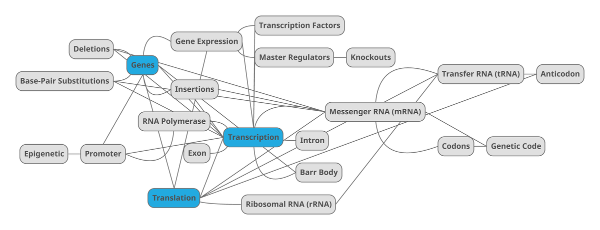 BIO Concept Map Ch. 8 - BIO 189 - Genes Gene Expression Transcription ...