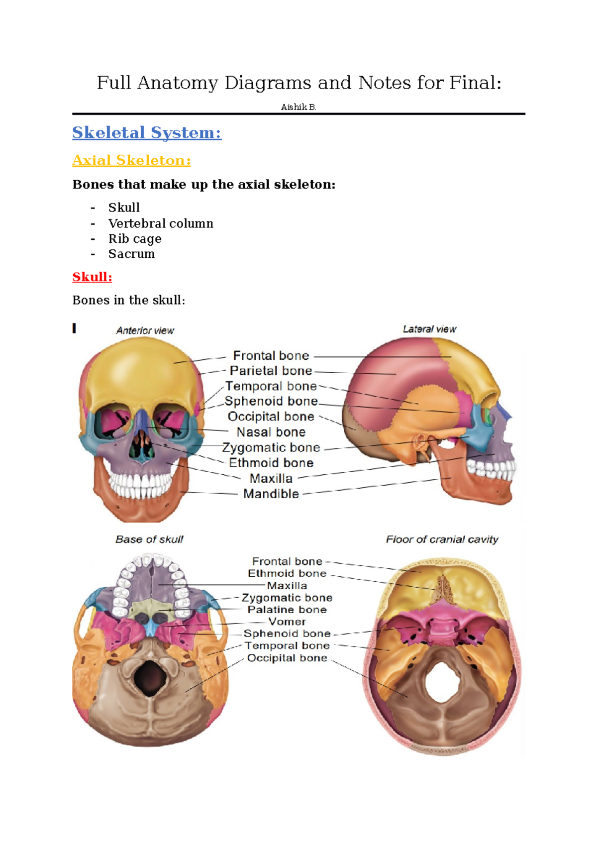 Comprehensive Anatomy Diagrams and Notes for Final Exam (Course Code ...
