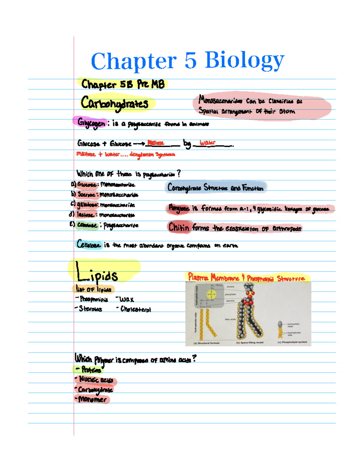 Note Sep 29, 2022 - Chapter 5 Mastering Biology Notes - Chapter 513 ...