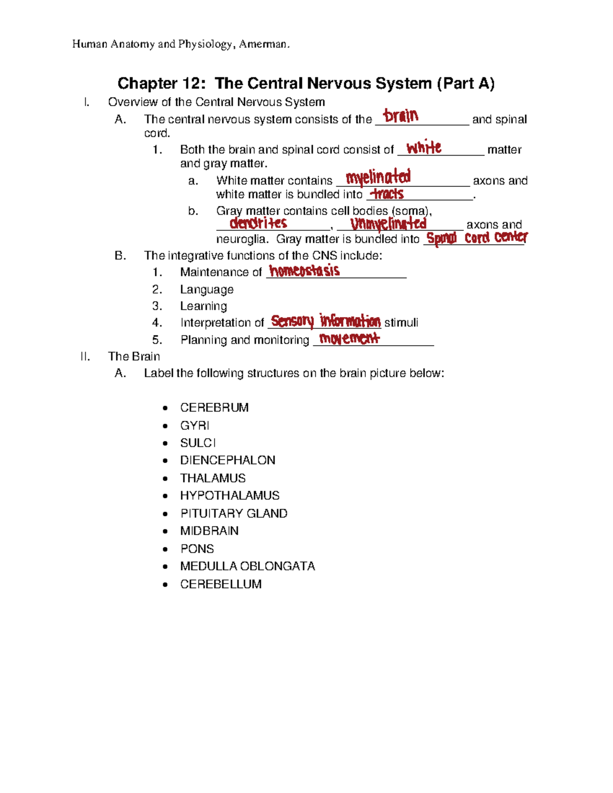 BIO+109+Chapter+12+Outline+Notes+Amerman+Part+A - Chapter 12: The ...
