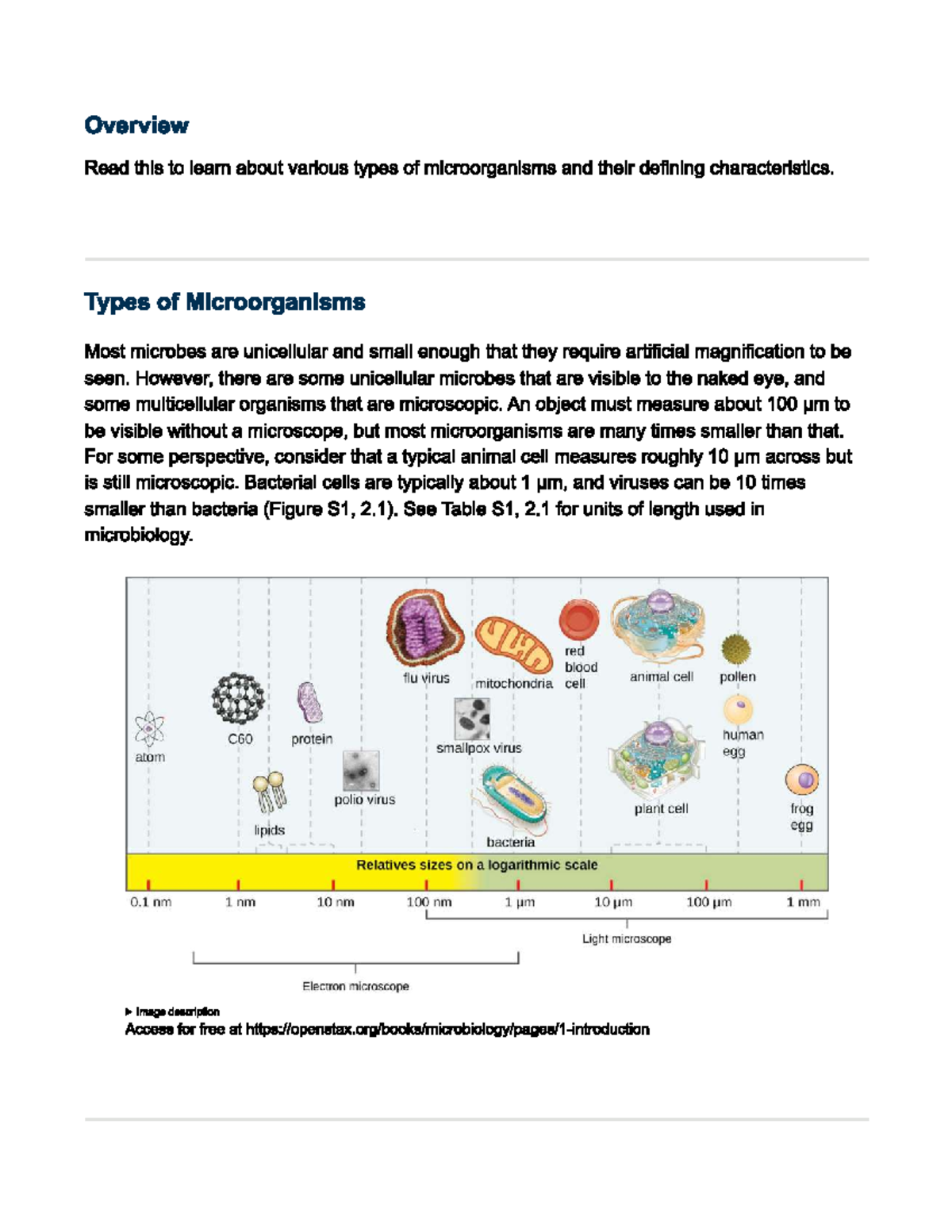 Microbiology Overview: Types of Microorganisms and Key Terms - Studocu