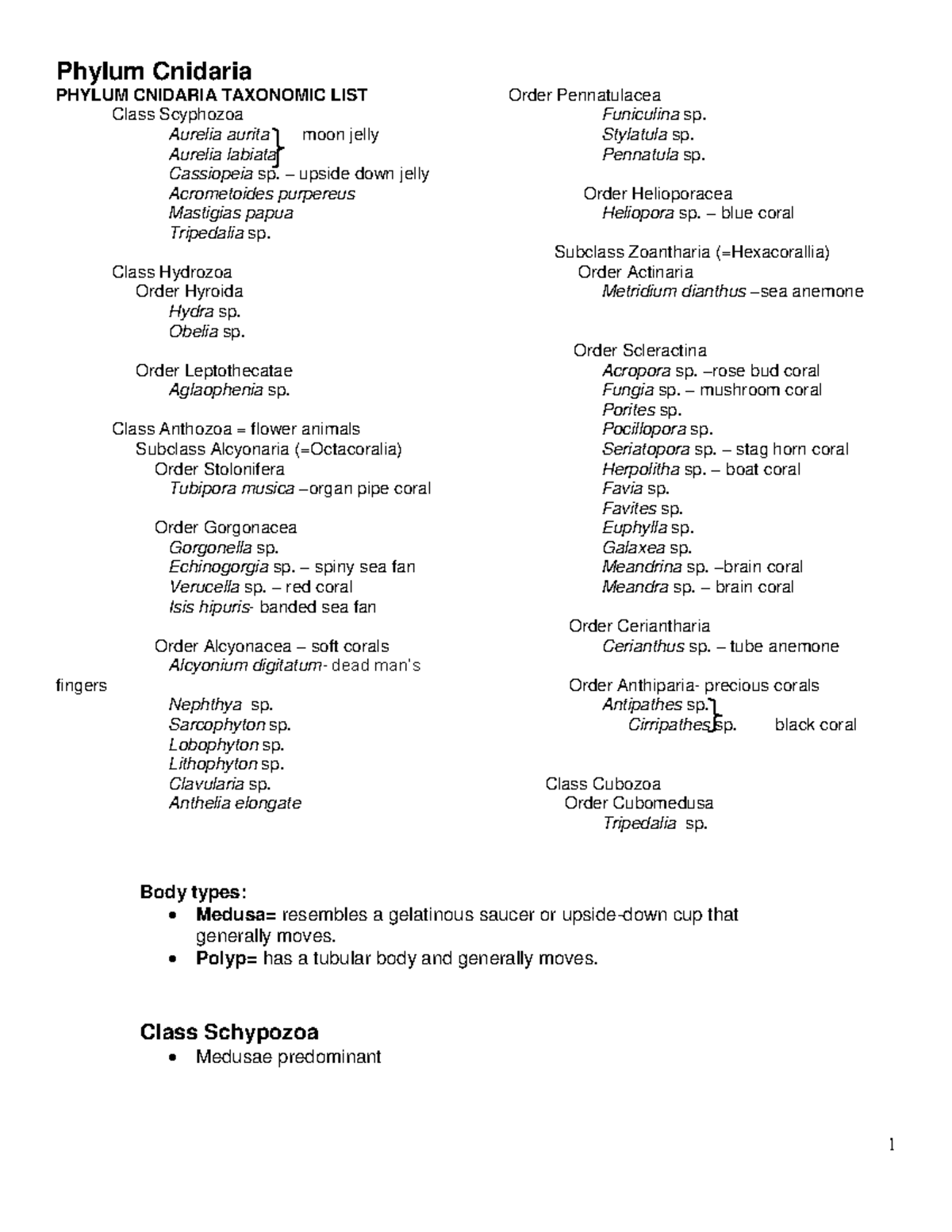 Cnidaria Taxonomic Classification and Body Types Overview - Document Preview