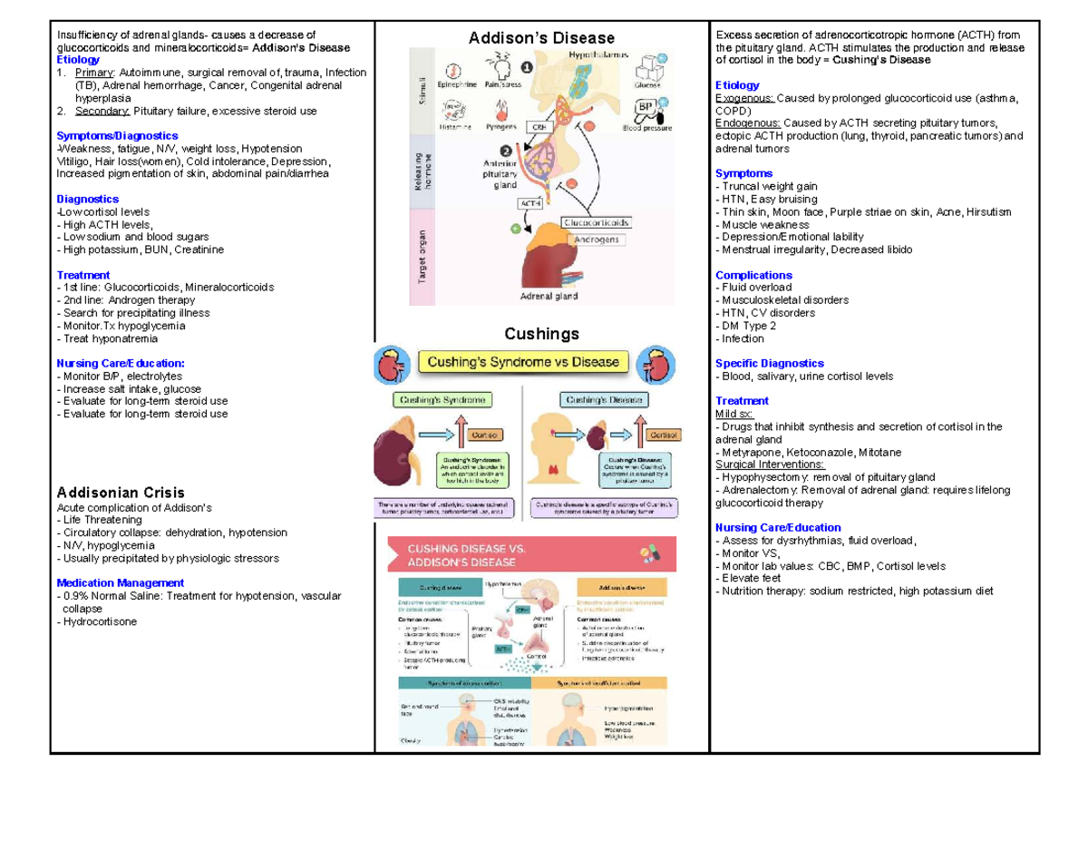 CUSH 101: Cushing's & Addison's Disease Concept Map Overview - Studocu