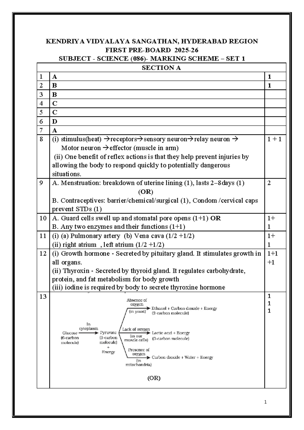 X - Science, MS SET 1 - Marking Scheme & PYQs - Studocu