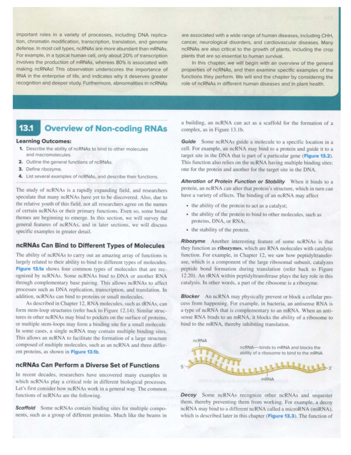 Brooker Biology 5e: Chapter 13 - The Role of ncRNAs in Gene Regulation ...
