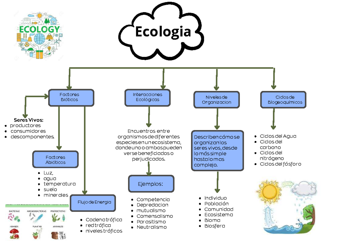 Organizador Ecologia - Encuentros entre organismos de diferentes ...